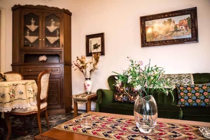 Traditional Antique Deco House Kalampáka Buitenkant foto
